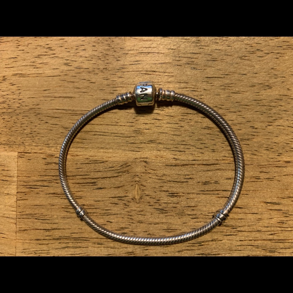 Pandora charm bracelet